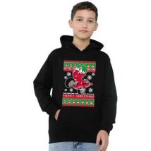 Sweatshirts à capuche Ricky Zoom TV25542
