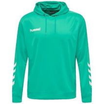Sweatshirts à capuche hummel Sweat à capuche Promo Poly vert