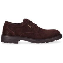 Derbies Renature RE COMUNAL 01