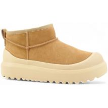 Boots Colors of California HC.HOODY01-AI26-TAN