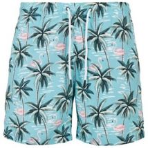 Short Urban Classics TN1668