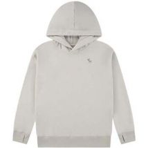 Sweatshirts à capuche Abercrombie Kids -