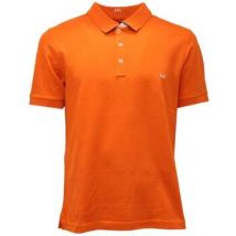 Polo Fay -