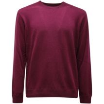 Pull Ferrante -