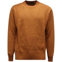 Pull Daniele Fiesoli -