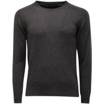Pull Daniele Fiesoli -