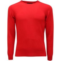 Pull Daniele Fiesoli -