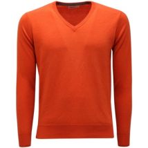 Pull Kangra -