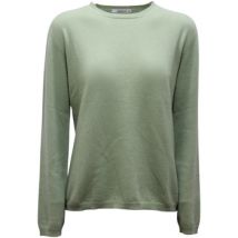 Pull Kangra -