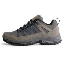 Trail Travelin' Grasten low