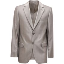 Vestes de costume Pal Zileri -