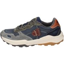 Baskets basses Americanino -