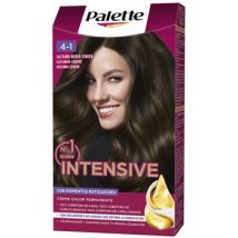 Colorations Palette Intensive Teinture 4.1-brun Cendré Moyen 1 Unité
