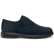 Derbies Geox U Ottavio inglesina in camoscio