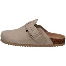Mules Colors of California -