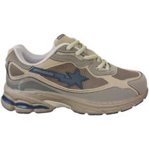 Baskets basses American College - Baskets - beige