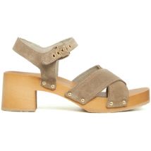 Sabots Scholl PESCURA CATE BEIGE HONEY SDE