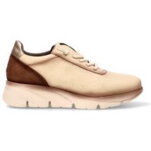 Baskets basses Flexistep 809279