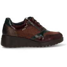 Derbies Fluchos 809352