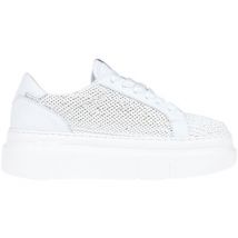 Baskets basses Gio + CAK00007006AE