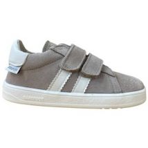 Baskets basses enfant Pirufin PF209-1 Gris