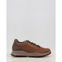 Baskets basses IgI&CO U.ELOY GTX 86295