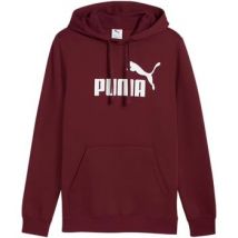 Sweatshirts à capuche Puma FELPA CON CAPPUCCIO