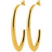 Boucles oreilles Brillaxis Créoles acier doré