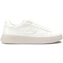 Baskets basses Alberto Guardiani New Era sneaker in pelle