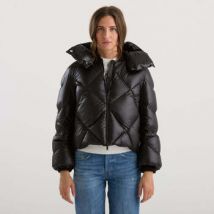 Blouson Add -