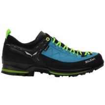 Chaussures Salewa Ms Mtn 2