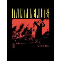 Affiches, posters Twenty One Pilots 40 cm x 30 cm PM11091