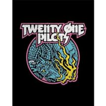 Affiches, posters Twenty One Pilots 40 cm x 30 cm PM11093
