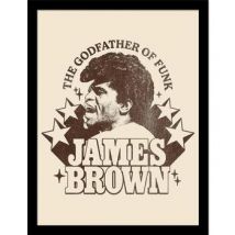 Affiches, posters James Brown 40 cm x 30 cm PM11281