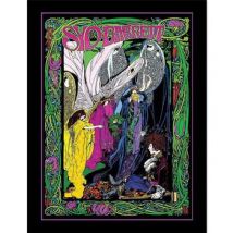 Affiches, posters Syd Barrett 40 cm x 30 cm PM11439