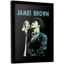 Affiches, posters James Brown 40 cm x 30 cm PM11496