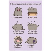 Affiches, posters Pusheen 91,5 cm x 61 cm x 0,12 cm PM11932