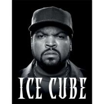 Affiches, posters Ice Cube 40 cm x 30 cm PM12007