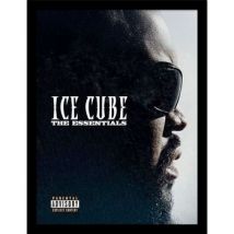 Affiches, posters Ice Cube 40 cm x 30 cm PM12009