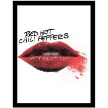 Affiches, posters Red Hot Chili Peppers 45 cm x 35 cm PM12456