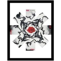Affiches, posters Red Hot Chili Peppers 45 cm x 35 cm PM12457