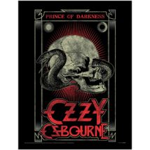 Affiches, posters Ozzy Osbourne 40 cm x 30 cm PM12983