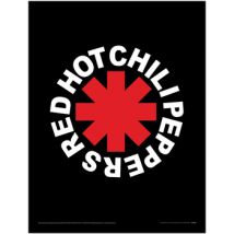 Affiches, posters Red Hot Chili Peppers 40 cm x 30 cm PM12986