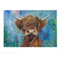 Tableaux, toiles Julia Pankhurst 60 cm x 80 cm PM4235