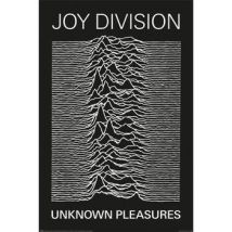 Affiches, posters Joy Division 91,5 cm x 61 cm PM5820