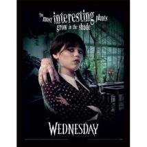 Affiches, posters Wednesday 40 cm x 30 cm PM5935