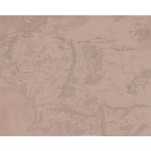 Papiers Peints The Lord Of The Rings 50 cm x 40 cm PM6677