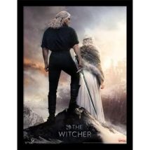 Affiches, posters The Witcher 40 cm x 30 cm PM7422
