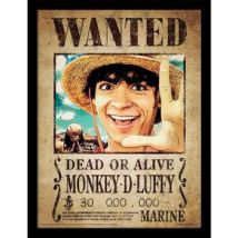 Affiches, posters One Piece Live Action 40 cm x 30 cm PM7533