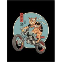 Affiches, posters Vincent Trinidad 40 cm x 30 cm PM8124